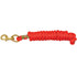 Poly Lead Rope with Brass Snap 9ft